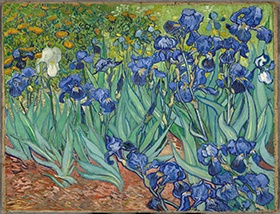 irises painting